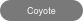 Coyote
