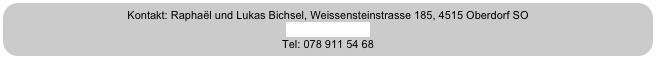 Kontakt: Raphaël und Lukas Bichsel, Weissensteinstrasse 185, 4515 Oberdorf SO
info@ricicletta.ch
Tel: 078 911 54 68

